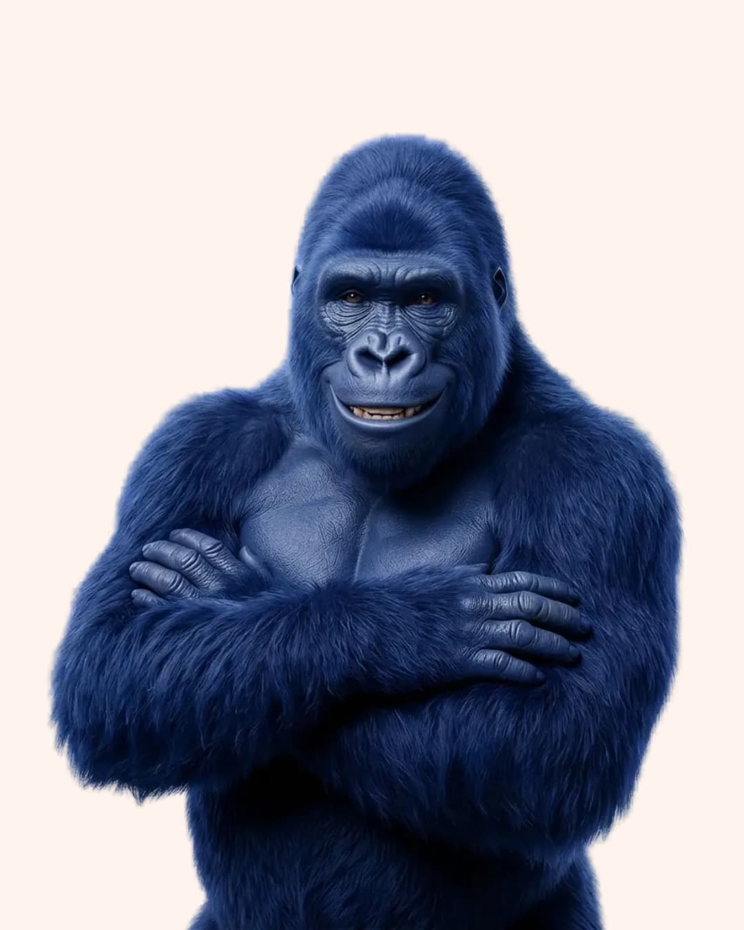 Gorilla posing