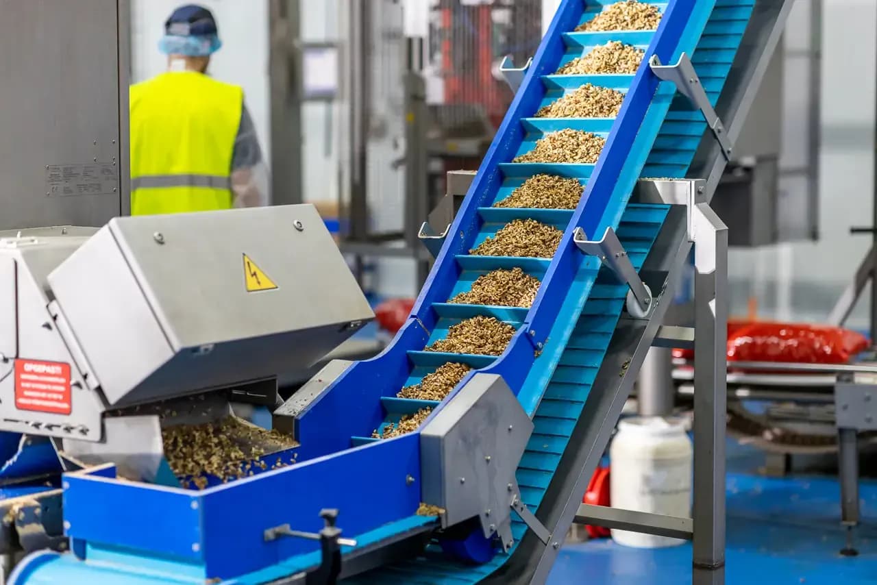 Productielijn met blauwe transportband in een voedingsindustrie fabriek, als beeld van de maakindustrie sector